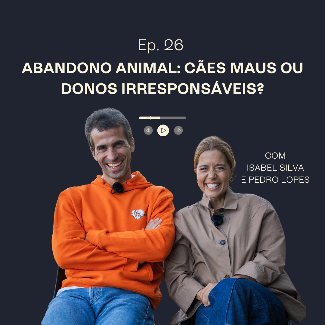 Abandono Animal: cães maus ou donos irresponsáveis?